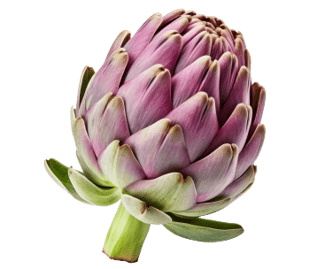 Екстракт от артишок