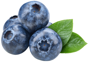 Екстракт от боровинка